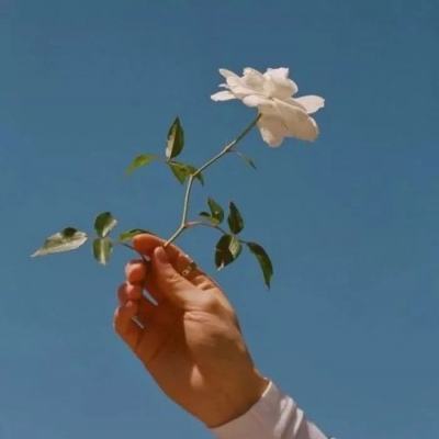 007游戏网游戏盒子最新版下载安装
