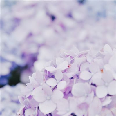 商队战争无限水晶内购破解版下载